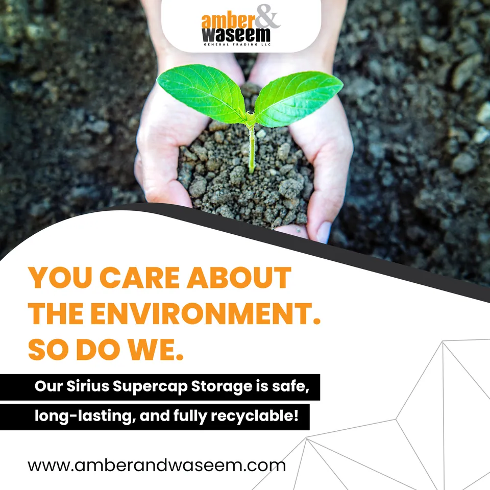 Amber & Waseem, image 7